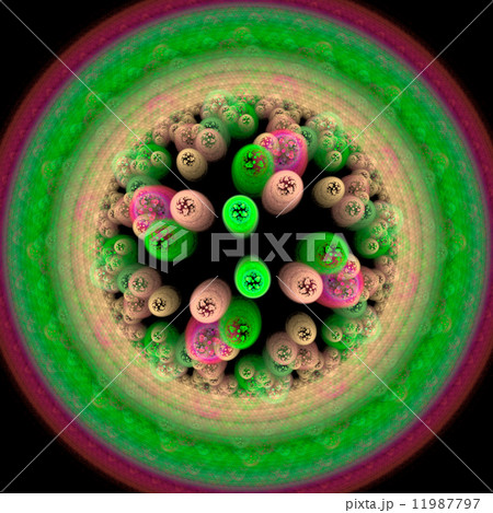 Symmetrical growth of bacteria 11987797