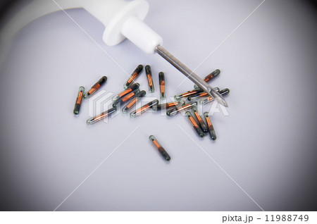 Syringe and animal id Syringe and animal id 11988749