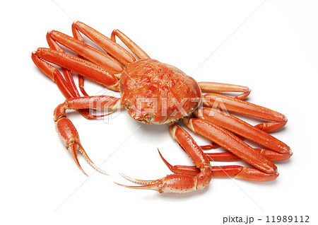 茹でた紅ズワイガニ 11989112