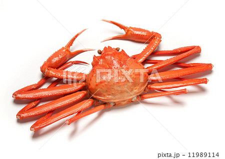 紅ズワイガニ 11989114