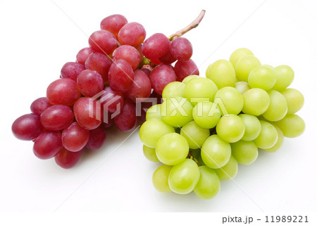 ぶどう 11989221