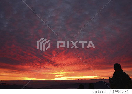 燃ゆる朝 11990274