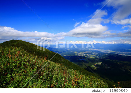 長野県飯縄山からの眺め 長野県飯縄山からの眺め 11990349