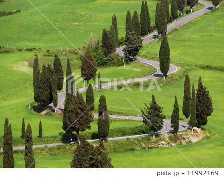 Italy, Tustany typical road 11992169