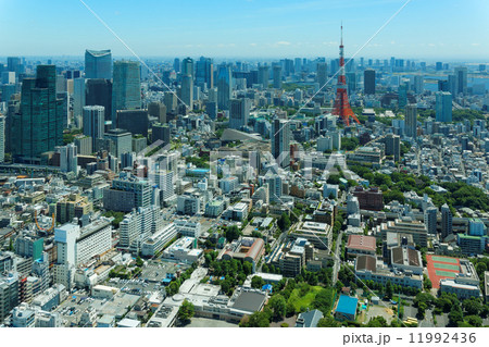 青空が広がる東京タワーと都市風景 青空が広がる東京タワーと都市風景 11992436