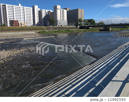 豊平川の川辺 11992593