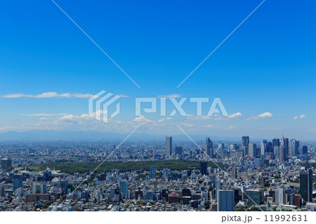 新宿の高層ビル街と都市風景 11992631