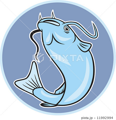 Catfish Jumping Circle Cartoon Catfish Jumping Circle Cartoon 11992994