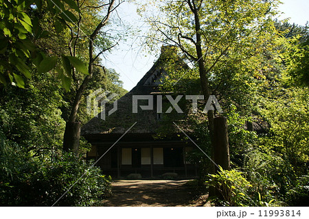横浜　三渓園　旧矢箆原（やのはら）家住宅 11993814
