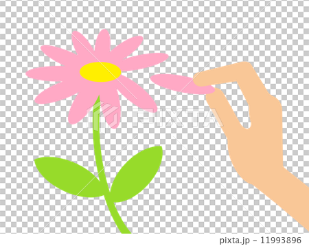 花的財富 11993896