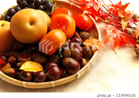 秋の果物盛り合わせ 秋の果物盛り合わせ 11994028