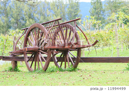 Wooden cart Wooden cart 11994499