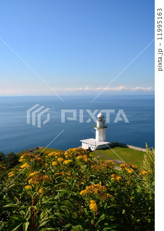 地球岬の大パノラマ 地球岬の大パノラマ 11995163