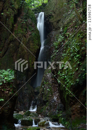 黒山三滝 黒山三滝 11996758