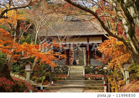 常寂光寺　仁王門　秋 11996830