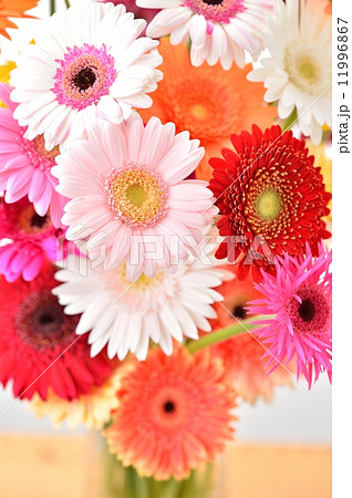 綺麗な花ガーベラのフラワーアレンジメント の写真素材 11996867 Pixta