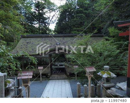 由岐神社 由岐神社 11997480