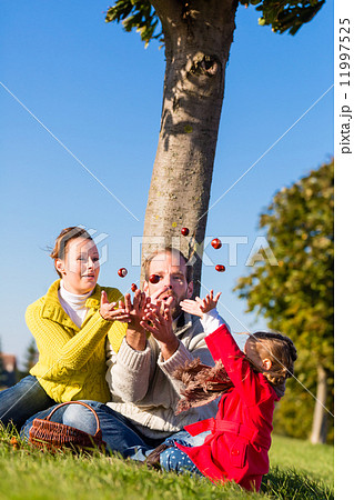 Family collecting chestnuts on bicycle trip 11997525