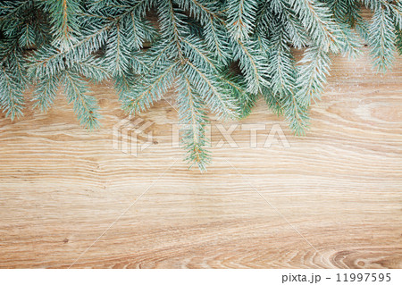 fir tree border fir tree border 11997595
