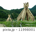 ヨズクハデ（島根県大田市温泉津町西田）「島根の60景」「日本の米作りの里100選」「秋の風物詩」 11998001