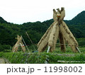 ヨズクハデ（島根県大田市温泉津町西田）「島根の60景」「日本の米作りの里100選」「秋の風物詩」 11998002