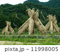 ヨズクハデ（島根県大田市温泉津町西田）「島根の60景」「日本の米作りの里100選」「秋の風物詩」 11998005