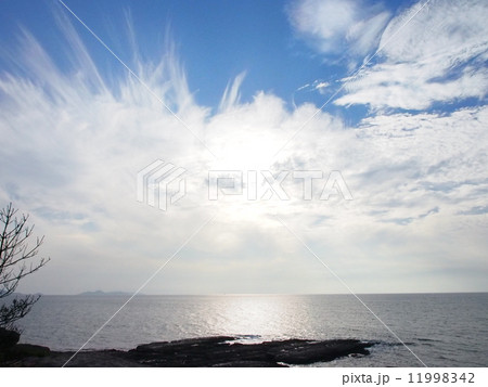 妙見埼 妙見埼 11998342