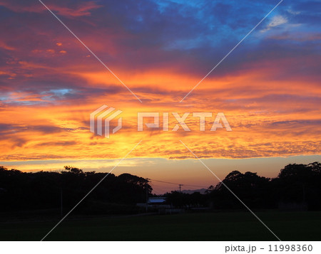 夕暮れ 夕暮れ 11998360