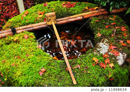 高桐院のつくばい 11998639