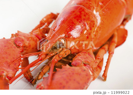 Lobster with lemon wedges. 11999022