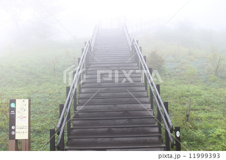 霧降高原 11999393