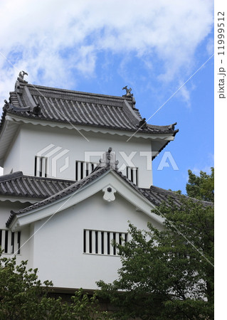 七州城 11999512