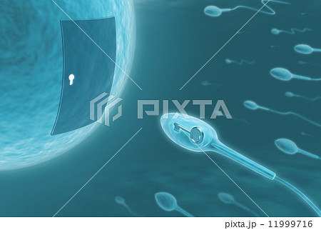 Smart Sperm 11999716