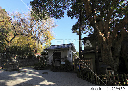 御霊神社の晩秋 御霊神社の晩秋 11999979