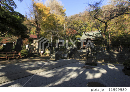 御霊神社の晩秋 11999980