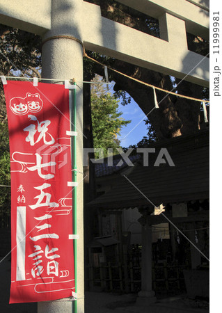 御霊神社の七五三 11999981