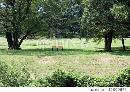 都立野川公園（柳橋付近） 12000675