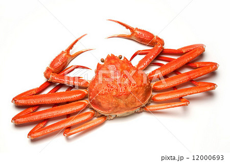 茹でたズワイガニ 12000693