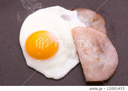 ハムエッグ ハムエッグ 12001455