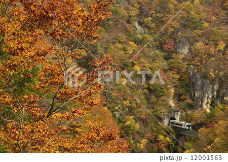 鳴子峡の紅葉01 12001563