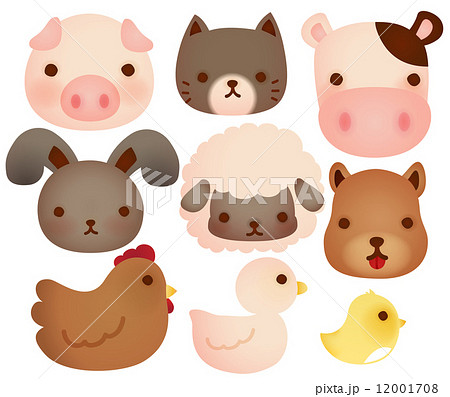 Collection of cute farm animals 12001708