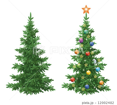 Christmas spruce fir trees with ornaments 12002482