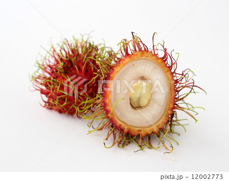 ランブータン 12002773