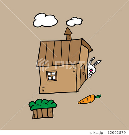 Rabbit stares on carrot 12002879