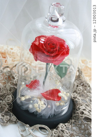 バラ　ガラスドーム 12003013