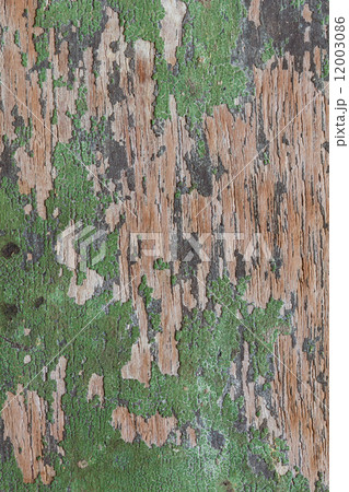 Wood Green 12003086