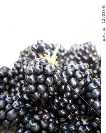 光とブラックベリー　縦 12003840