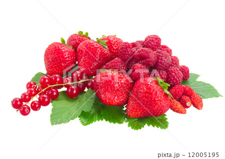 fresh red berries 12005195