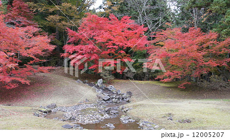 毛越寺 毛越寺 12005207