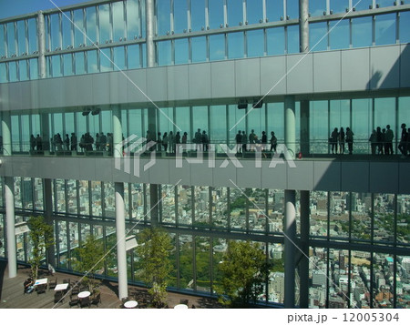 あべのハルカス(展望回廊) あべのハルカス(展望回廊) 12005304